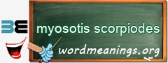 WordMeaning blackboard for myosotis scorpiodes